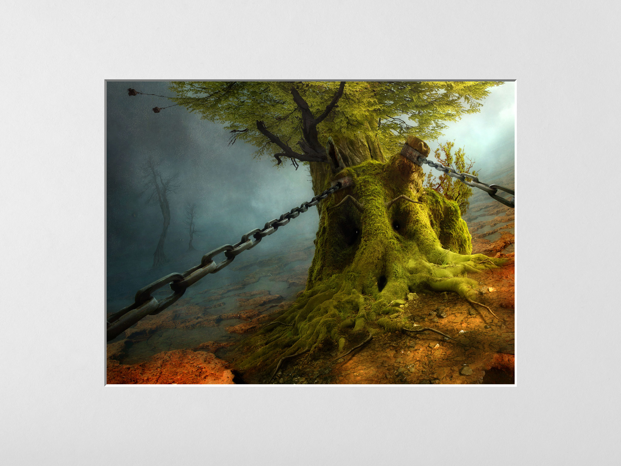 Mystische Landschaften, absurde Wesen